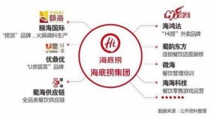 多公司协同运作与连锁品牌运营管理设计指南